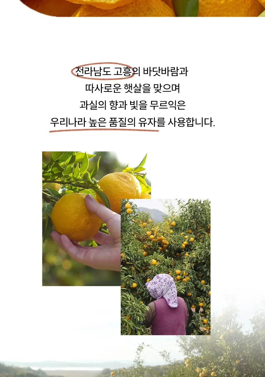 [NEW/튜브용기] 한율 달빛유자 수면팩 70ml 기획 (+35ml+패드2매) 상세페이지 9